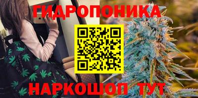 гидра Обнинск
