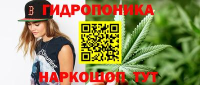 гидра Обнинск