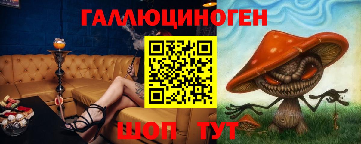 Пугачёв  Псилоцибиновые грибы Psilocybine cubensis  Галлюциногенные грибы Psilocybe  Вход с VPN 