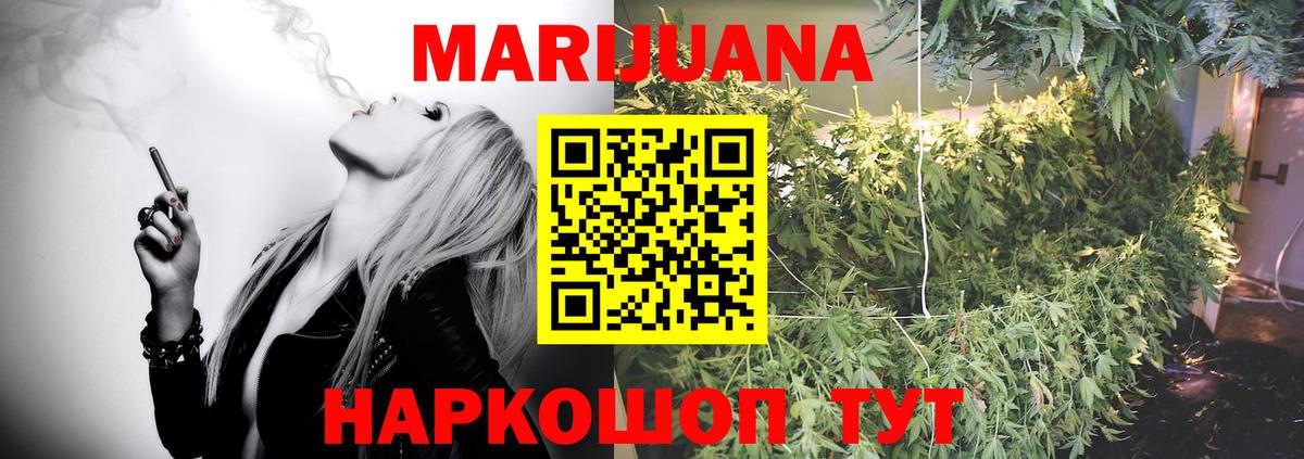 Шишки марихуана семена  Конопля VHQ  Пугачёв  Бошки Шишки план  Каннабис сатива  Вход с VPN 